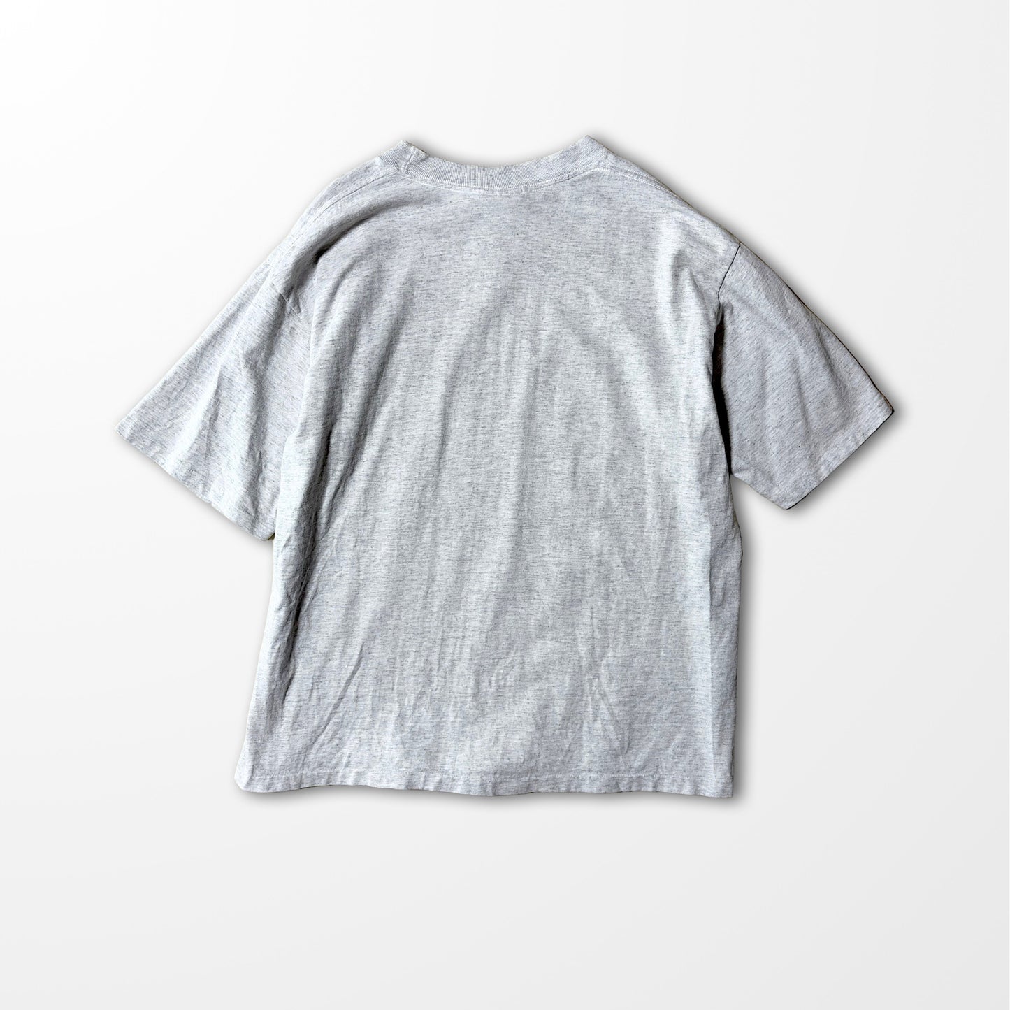 Gold's Gym vintage T-shirt / bold brick logo / USA muscle