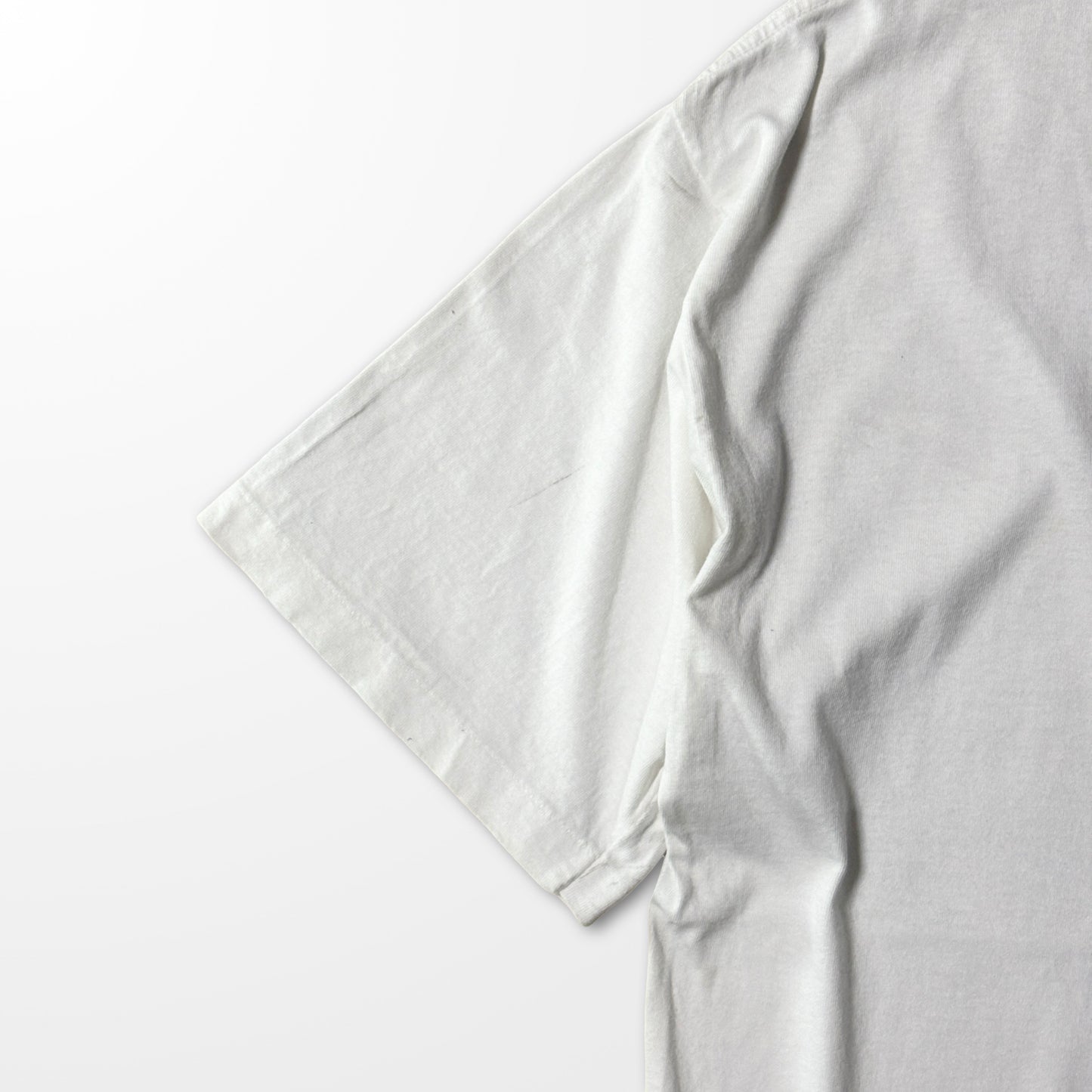 Fade Toucan Print Tee / Vintage Animal Art T-shirt