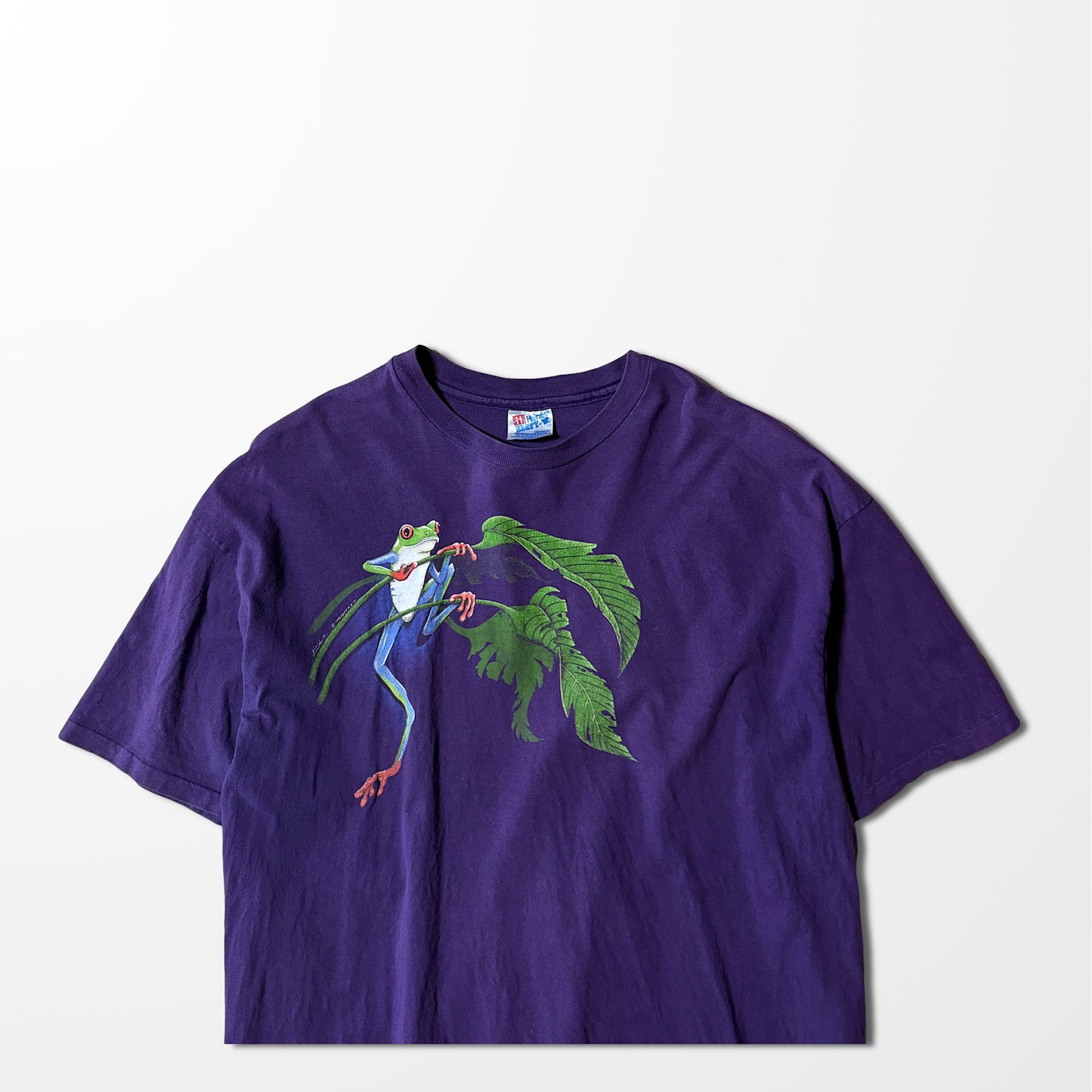 Faded Purple T-shirt / tropical frog graphic / Made in USA