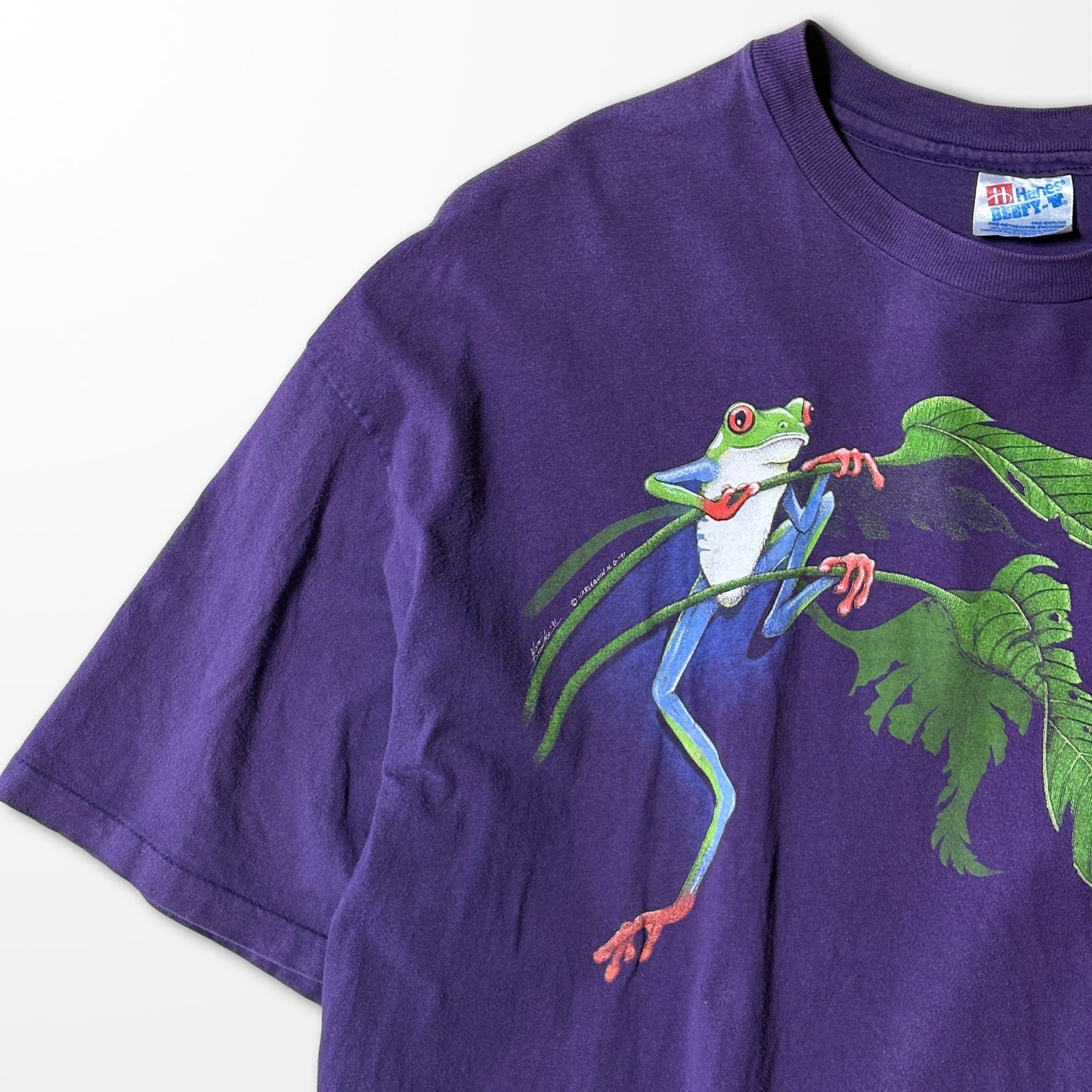 Faded Purple T-shirt / tropical frog graphic / Made in USA