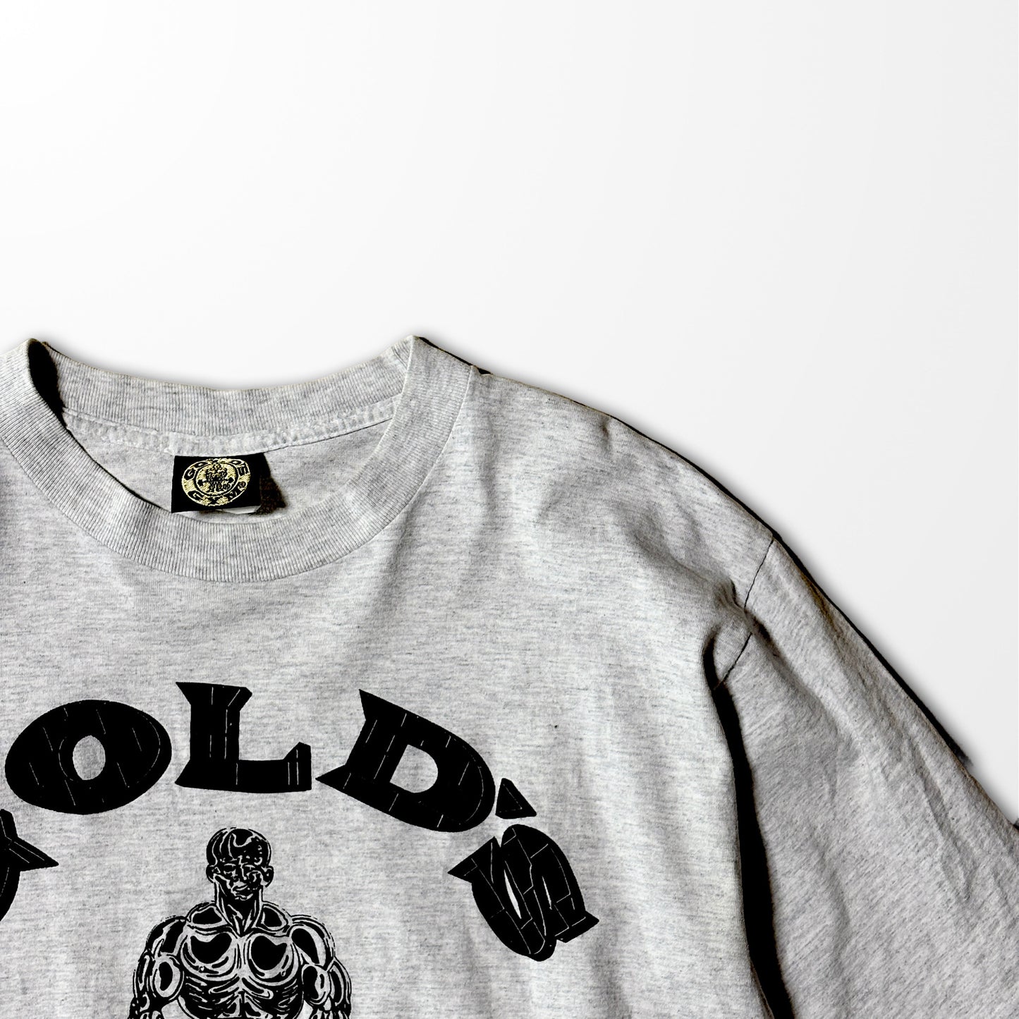 Gold's Gym vintage T-shirt / bold brick logo / USA muscle