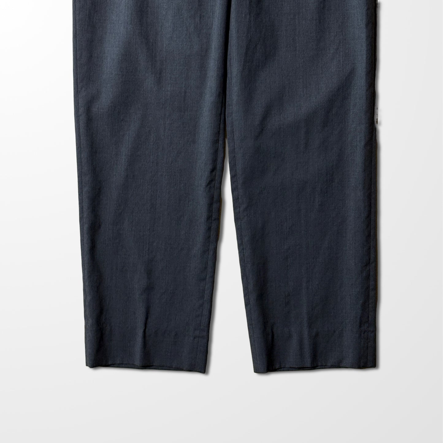 Zanella Wool Pleated Dress Pants –  Charcoal– Size 33