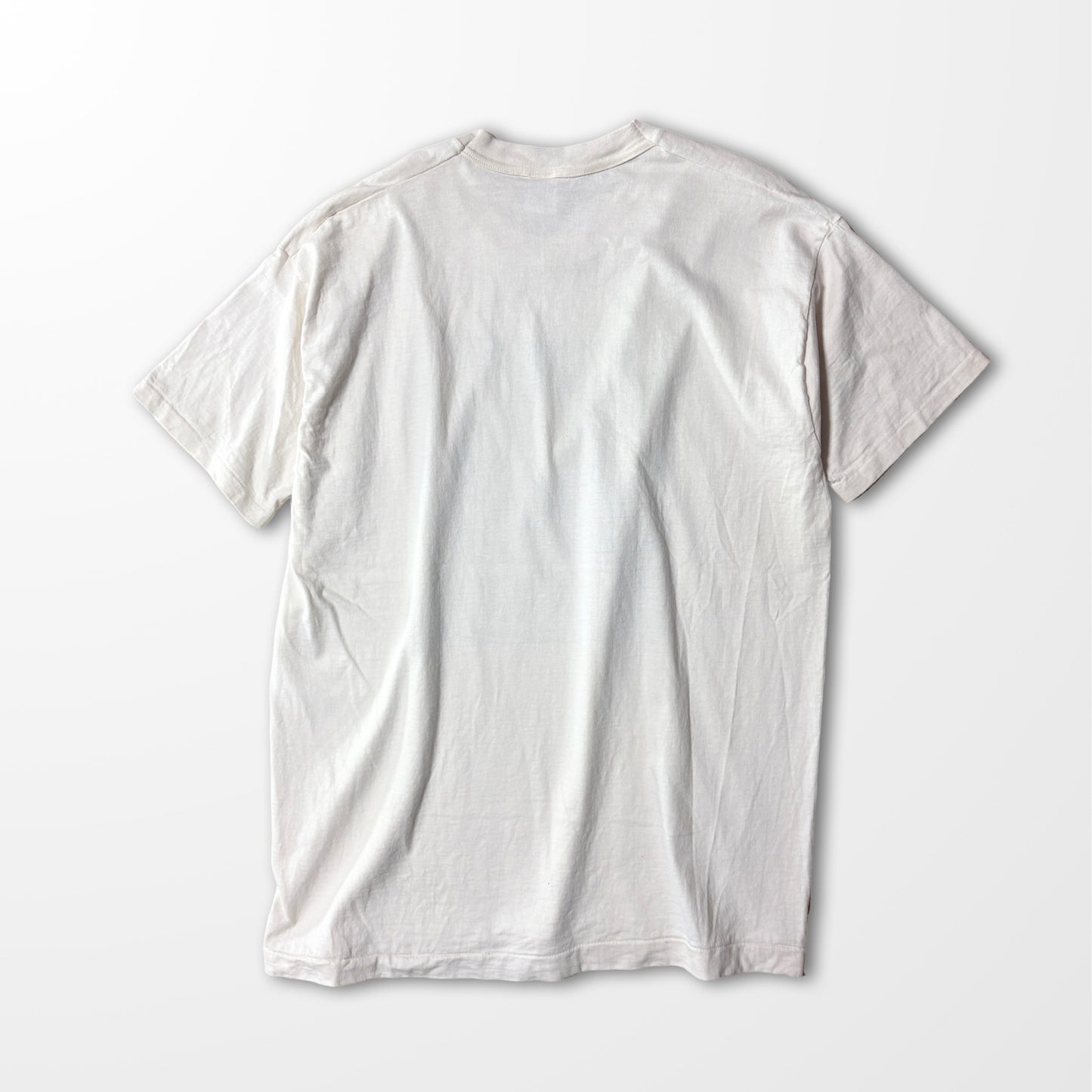 Fade Toucan Print Tee / Vintage Animal Art T-shirt