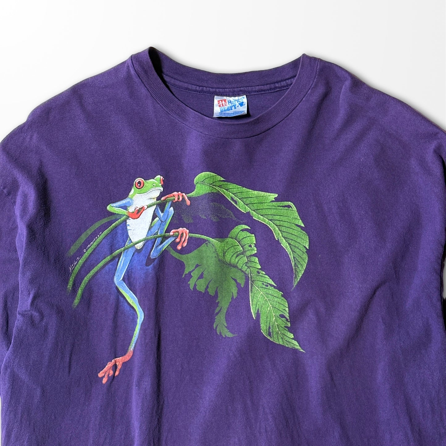 Faded Purple T-shirt / tropical frog graphic / Made in USA