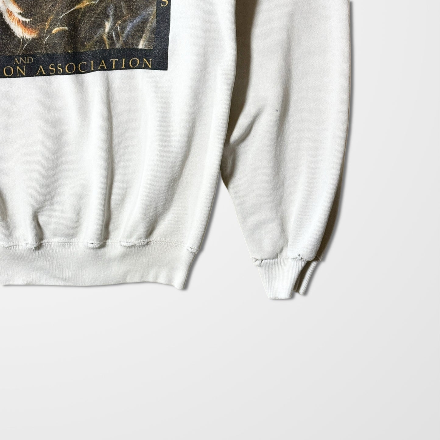 Grizzly Bear Graphic Sweatshirt – National Parks Print White