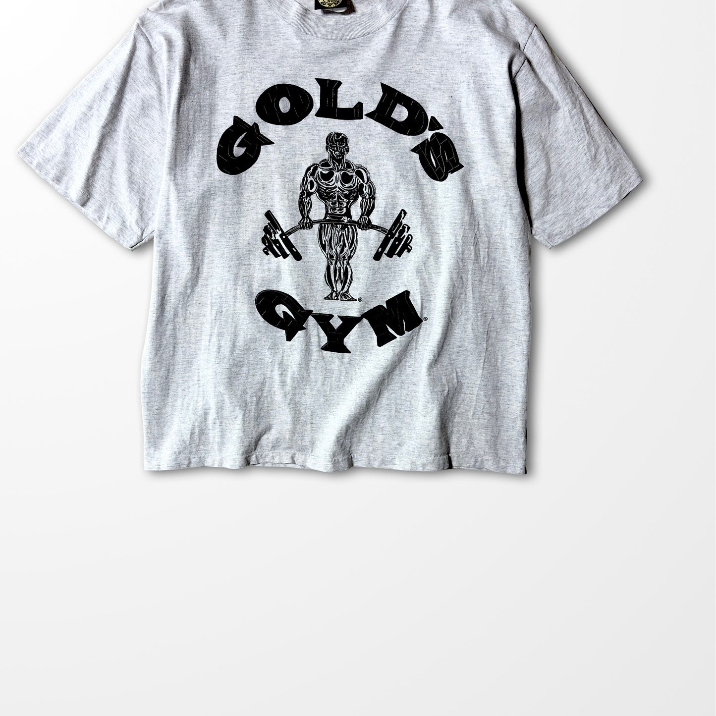 Gold's Gym vintage T-shirt / bold brick logo / USA muscle